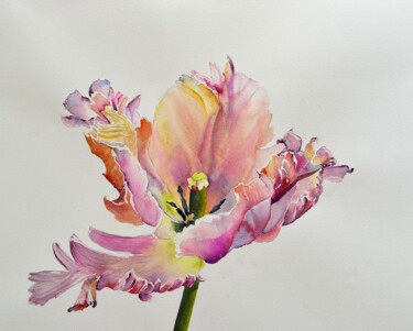 Pintura intitulada "Perrot tulip" por Ewa Helzen, Obras de arte originais, Aquarela