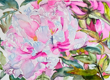 Pittura intitolato "Pink peonies" da Ewa Helzen, Opera d'arte originale, Acquarello