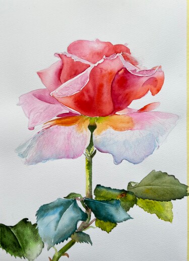 Painting titled "One rose" by Ewa Helzen, Original Artwork, Watercolor