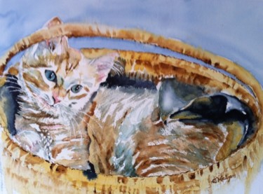 Painting titled "a-kitten.jpg" by Ewa Helzen, Original Artwork