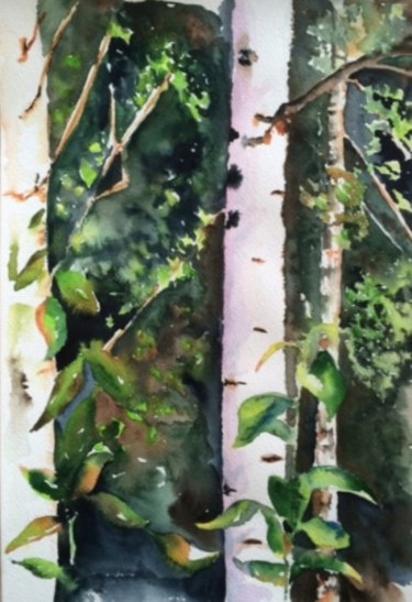 Painting titled "white-birches-001.j…" by Ewa Helzen, Original Artwork, Watercolor