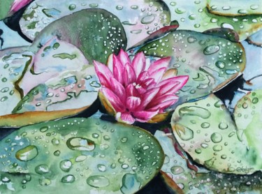 Pintura intitulada "Pink waterlilly.jpg" por Ewa Helzen, Obras de arte originais