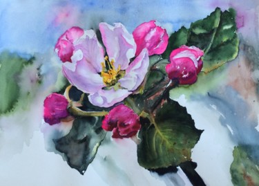 Painting titled "Apple blossom.jpg" by Ewa Helzen, Original Artwork, Watercolor