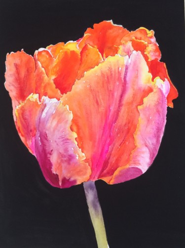 Painting titled "Tulip.jpg" by Ewa Helzen, Original Artwork, Watercolor