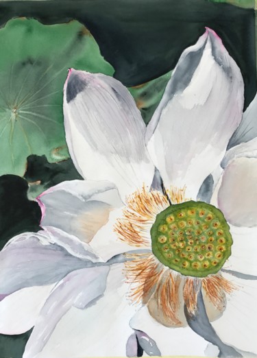 Painting titled "Lotus flower" by Ewa Helzen, Original Artwork, Watercolor