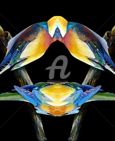 Digital Arts titled "SHY BIRD" by Exozigprint, Original Artwork, Digital Painting