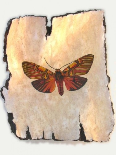 Peinture intitulée "Papillon" par Exuvie, Œuvre d'art originale