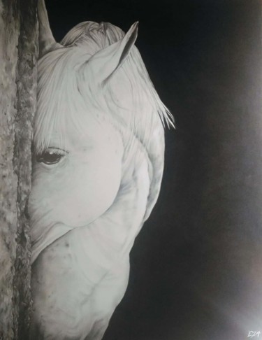 Dessin intitulée "Poésie équine #arti…" par Eza Drawart, Œuvre d'art originale, Graphite