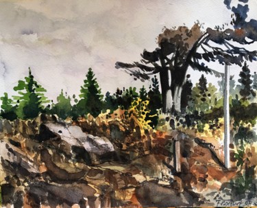 Painting titled "Arbre et rochers" by Francis Bocquet, Original Artwork, Watercolor