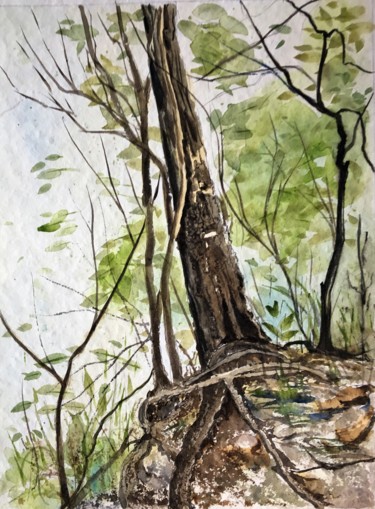Malerei mit dem Titel "Tronc d'arbre et ra…" von Francis Bocquet, Original-Kunstwerk, Aquarell