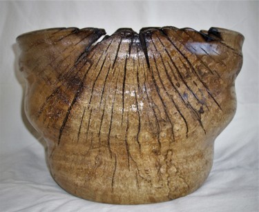 "Rooted bowl" başlıklı Design Faber Artisan tarafından, Orijinal sanat, Masa Sanatı