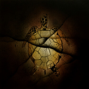 Painting titled "Tortue / Turtle" by Fabien Dreuil, Original Artwork, Airbrush