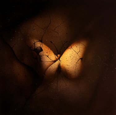 绘画 标题为“Papillon / Butterfly” 由Fabien Dreuil, 原创艺术品, 喷枪