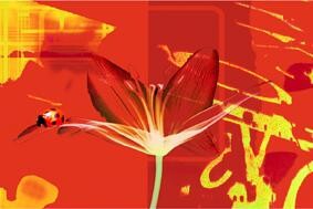 Arts numériques intitulée "Fleur Rouge" par Fabienne Darde, Œuvre d'art originale