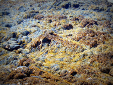 Photographie intitulée "Ouessant terre de l…" par Fabienne Deguines, Œuvre d'art originale, Photographie numérique