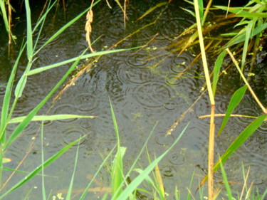 Fotografie mit dem Titel "ronds dans l 'eau" von Fabienne Deguines, Original-Kunstwerk, Digitale Fotografie