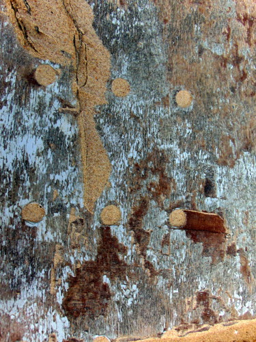 Photographie intitulée "échoué" par Fabienne Deguines, Œuvre d'art originale, Photographie non manipulée