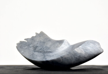 Скульптура под названием "Aile" - Fabienne Fol, Подлинное произведение искусства, Камень