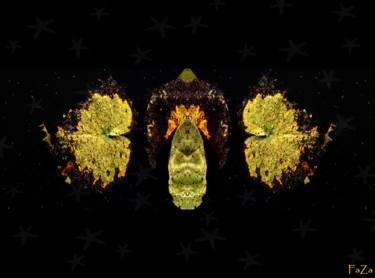 摄影 标题为“feuilles de nénupha…” 由Fabienne Manunza, 原创艺术品, 数码摄影