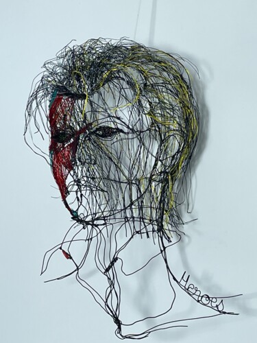 Scultura intitolato "David Bowie "Heroes…" da Fabienne Quenard, Opera d'arte originale, Filo