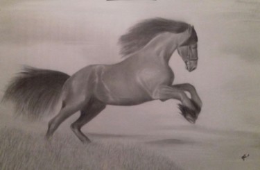 Dessin intitulée "Cavalo" par Fábio Francisco Silva, Œuvre d'art originale, Crayon