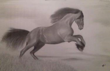 Tekening getiteld "Cavalo" door Fábio Francisco Silva, Origineel Kunstwerk, Potlood