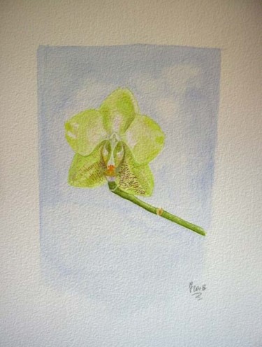 Painting titled "orchidea" by Fabiola Bonghi, Original Artwork, Other