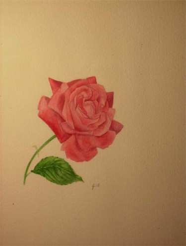 Painting titled "a rose is a rose..." by Fabiola Bonghi, Original Artwork, Oil