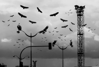 Arts numériques intitulée "Les vautours" par Fabrice Cadet, Œuvre d'art originale