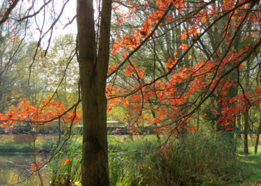 Photography titled "Au bord de l'étang…" by Fabrice Cadet, Original Artwork