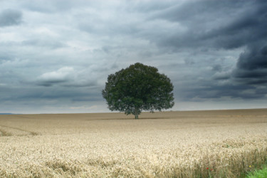 Photographie intitulée "Sans titre" par Fabrice Cadet, Œuvre d'art originale