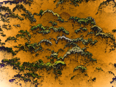 Digital Arts titled "Woods" by Fabrice Cadet, Original Artwork, 2D Digital Work