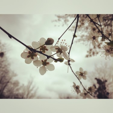 Photographie intitulée "Sign of springtime…" par Fabrice Cadet, Œuvre d'art originale