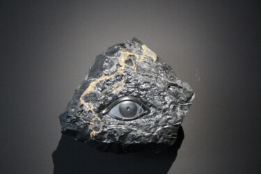 Photographie intitulée "L'oeil noir" par Fabrice Meslin (Fabzoo), Œuvre d'art originale, Photographie numérique