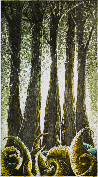 Отпечатки и Гравюры под названием "Les glaces de Nïom-…" - Fabrice Rivière, Подлинное произведение искусства, Литография