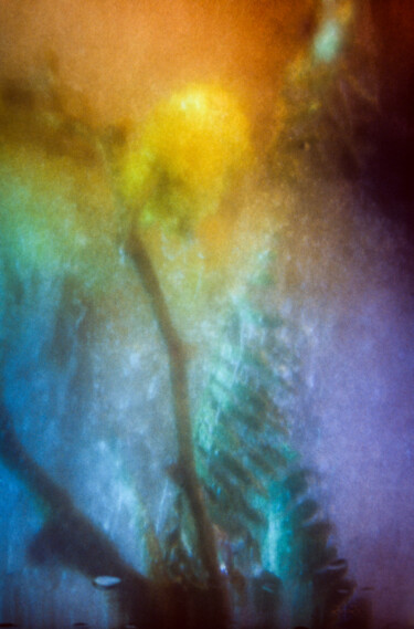 "Aqua-Tarabinoscope…" başlıklı Fotoğraf Fabrice Rivière tarafından, Orijinal sanat, Analog Fotoğrafçılık