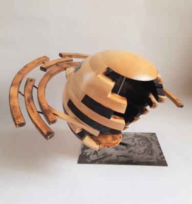 Sculpture intitulée "Planète et ses anne…" par Fabien Bochard, Œuvre d'art originale, Bois