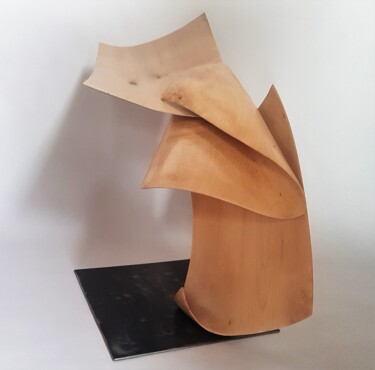 Sculpture titled "Courant d'air" by Fabien Bochard, Original Artwork, Wood