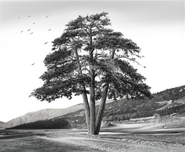 Arts numériques intitulée "Arbol.   -    Arbre" par Damián Fadrique, Œuvre d'art originale, Peinture numérique