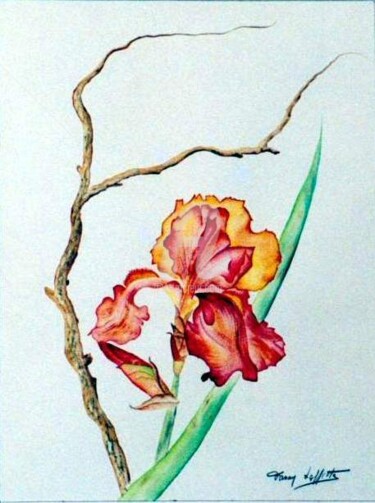 Peinture intitulée "Iris orangé" par Fanny Laffitte, Œuvre d'art originale, Huile