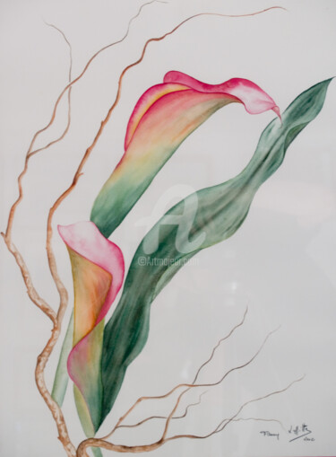 Malerei mit dem Titel "arums-flamboyants.j…" von Fanny Laffitte, Original-Kunstwerk, Öl