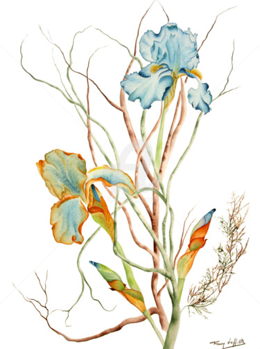 Painting titled "IRIS FLAMBOYANTS" by Fanny Laffitte, Original Artwork, Watercolor