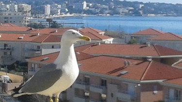 Photographie intitulée "Tchekhov la Mouette" par Fanny Touchet, Œuvre d'art originale