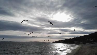 Photography titled "L'oeil et la Mouette" by Fanny Touchet, Original Artwork