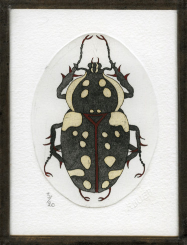 Gravures & estampes intitulée "Coleoptera III" par Bueb Fanny, Œuvre d'art originale, Eau-forte