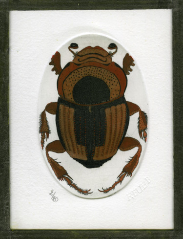 Gravures & estampes intitulée "Onthophagus taurus" par Bueb Fanny, Œuvre d'art originale, Eau-forte