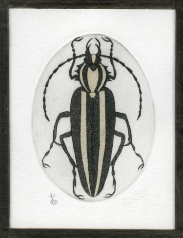 Gravures & estampes intitulée "Cerambycidae" par Bueb Fanny, Œuvre d'art originale, Eau-forte