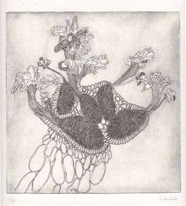 Gravures & estampes intitulée "Muscus Ovarium" par Bueb Fanny, Œuvre d'art originale, Eau-forte