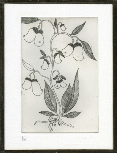 Gravures & estampes intitulée "Artemisia Lactem" par Bueb Fanny, Œuvre d'art originale, Eau-forte
