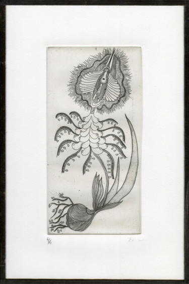 Gravures & estampes intitulée "Vulva Datura" par Bueb Fanny, Œuvre d'art originale, Eau-forte